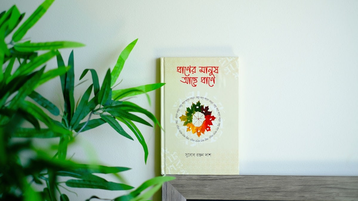 প্রাণের মানুষ আছে প্রাণে